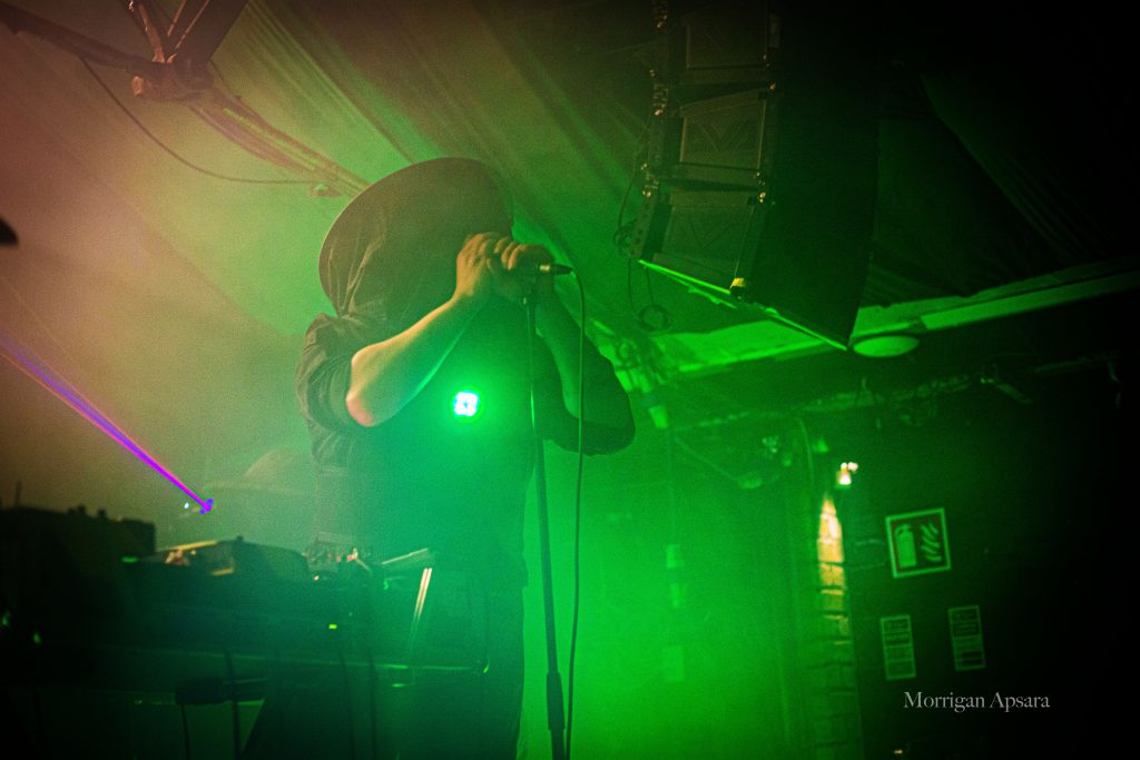 Wallowing gig in Dublin
