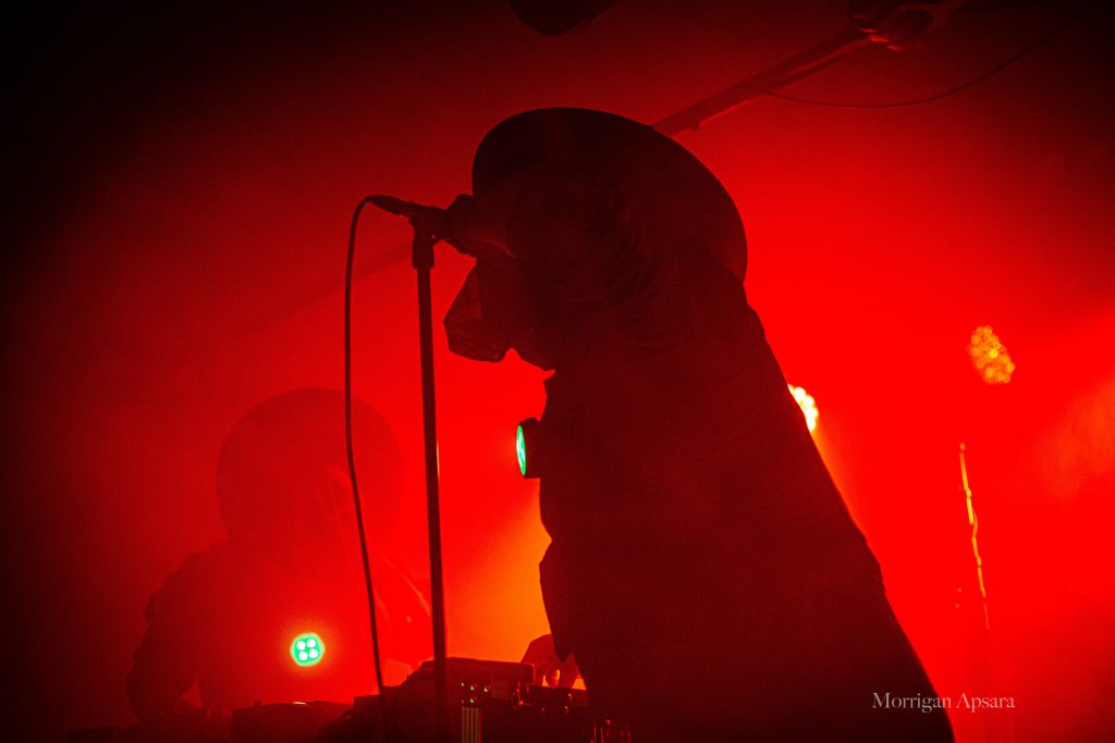 Wallowing gig in Dublin