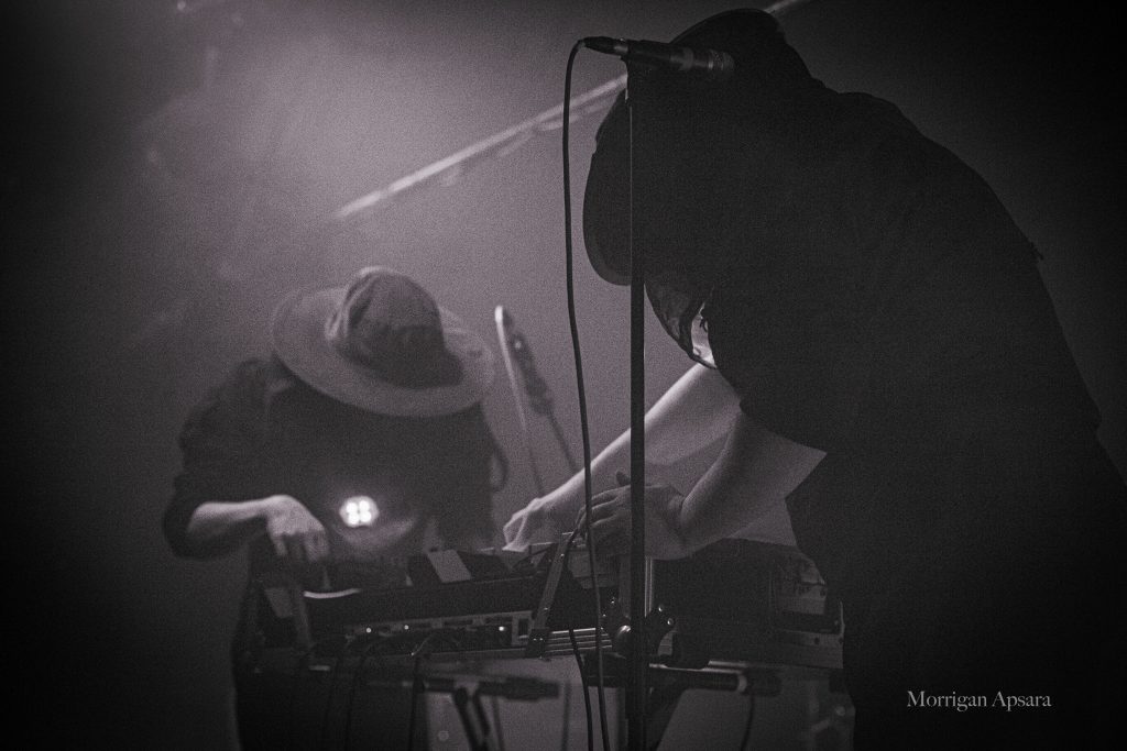 Wallowing gig in Dublin