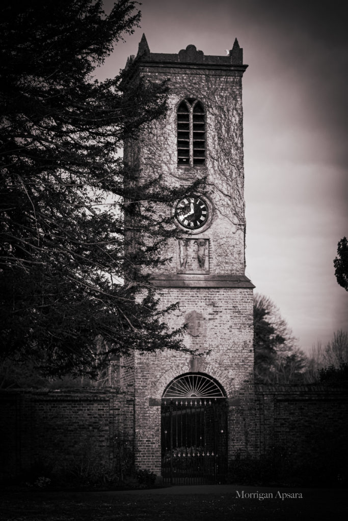 St Anne's park tower