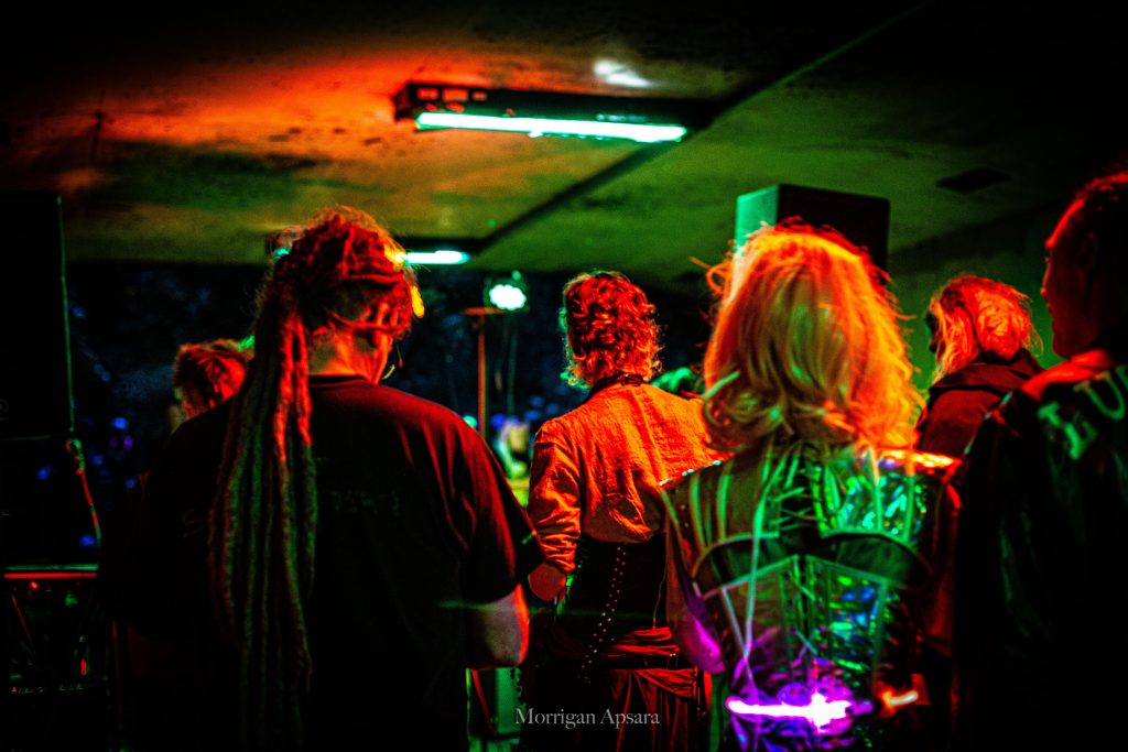 Crowd DIY gig in Dublin
