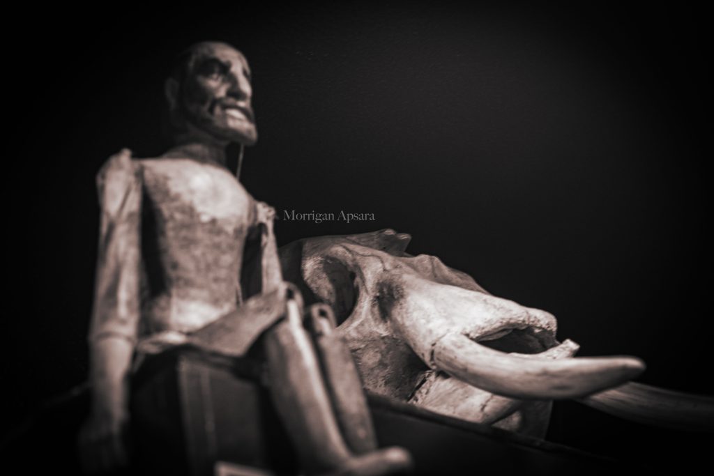 Museum of curiosities - Dublin