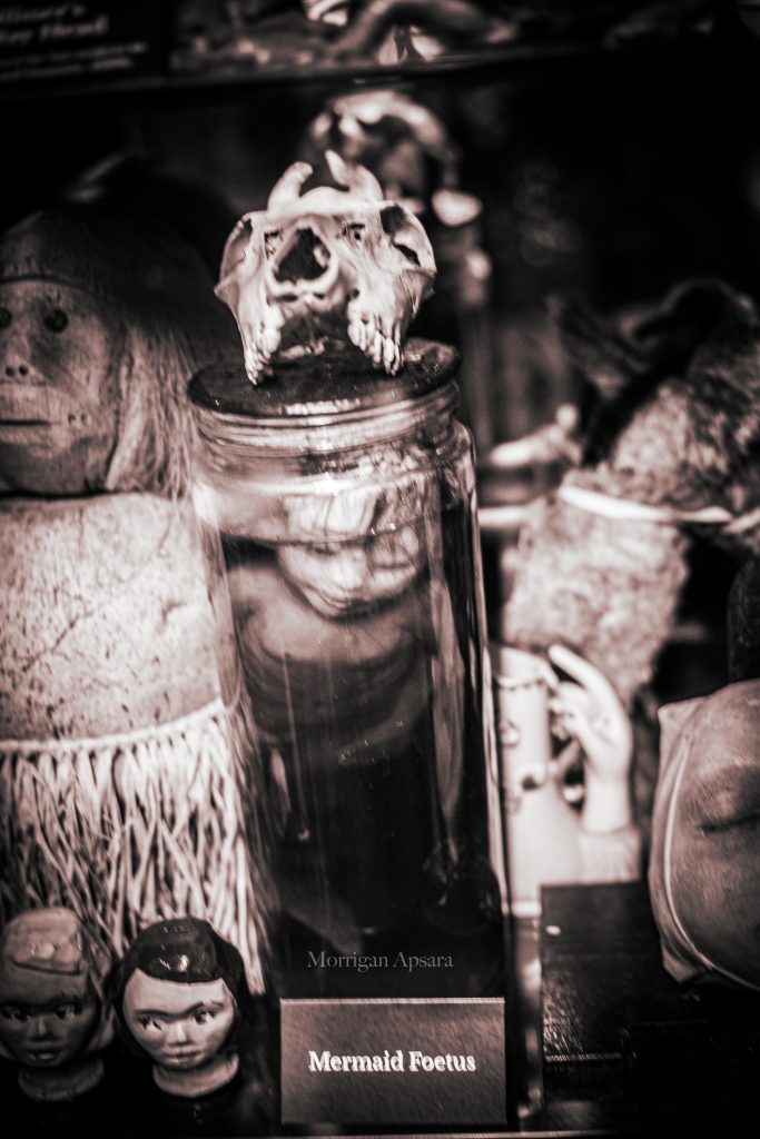 Museum of curiosities - Dublin