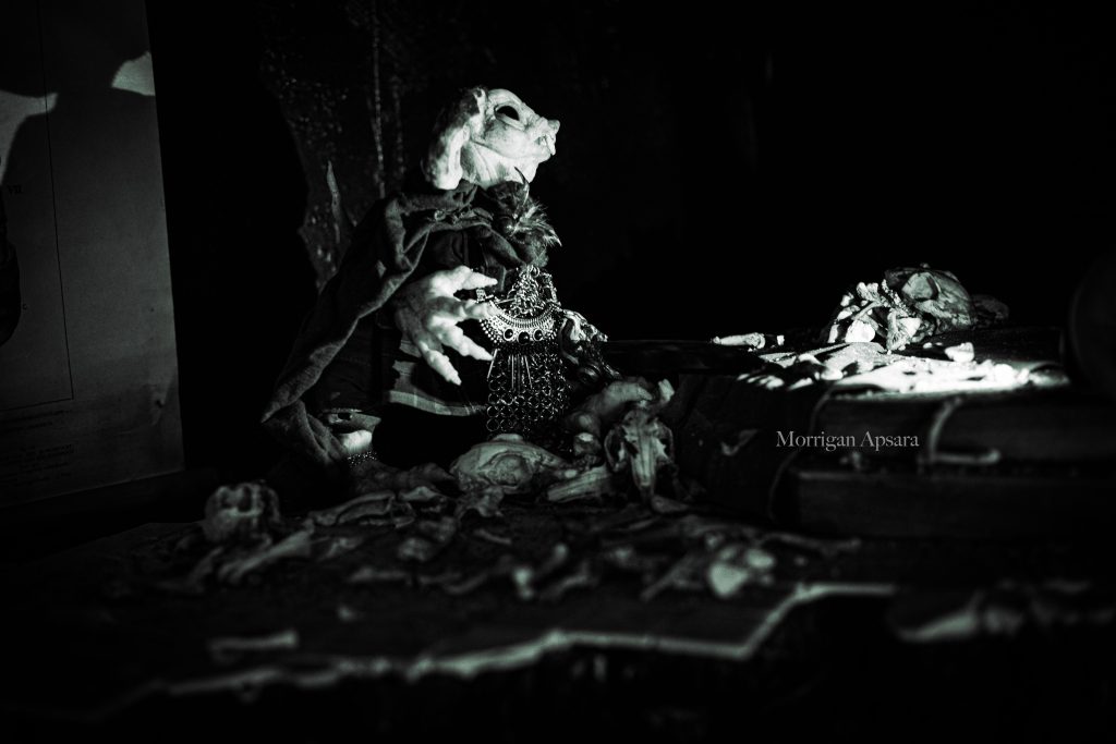 Museum of curiosities - Dublin