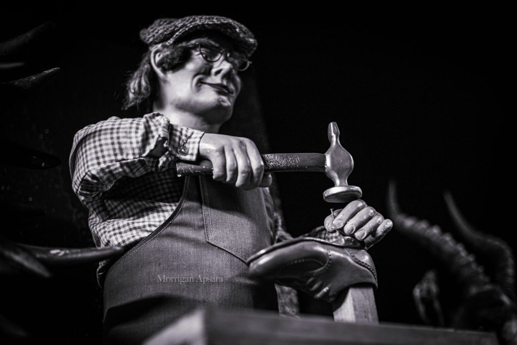 Museum of curiosities - Dublin