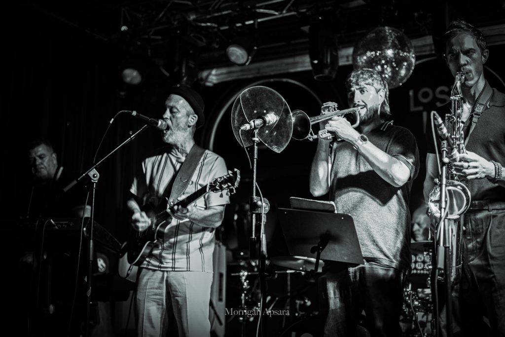Bionic Rats Dublin ska band