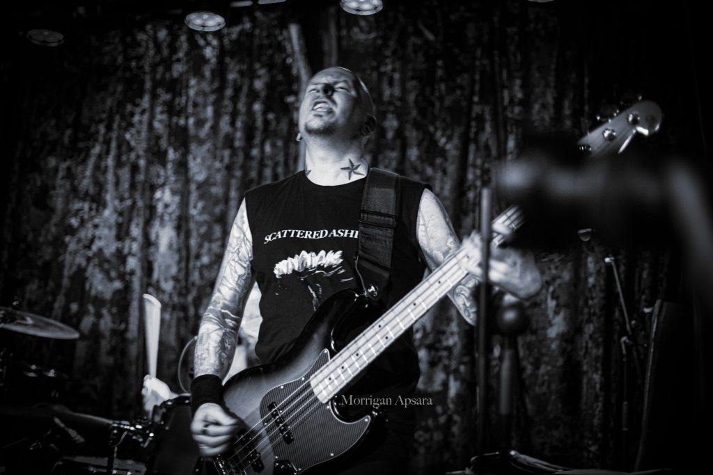 Molly Vulpyne band