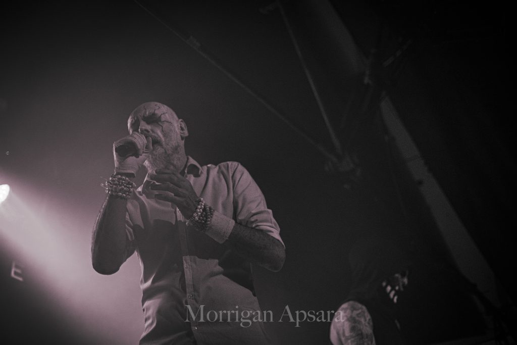 High Parasite at The Grand Social Dublin