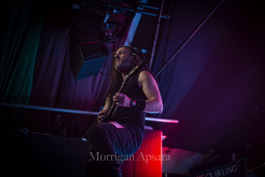 The Crowling gig at The Grand Social Dubiln