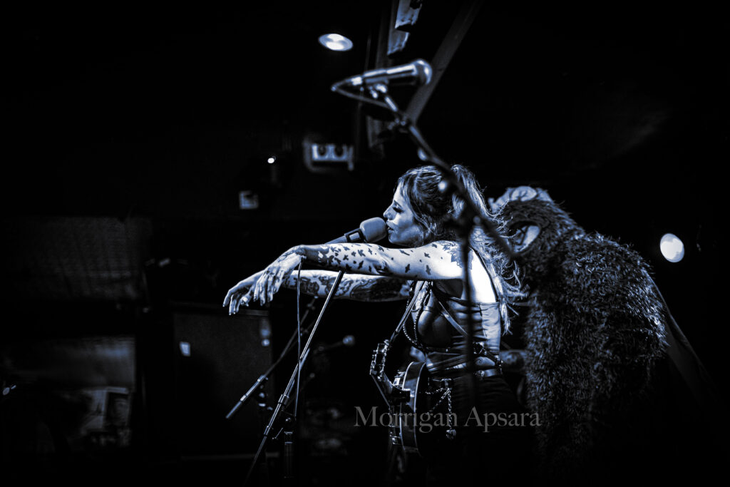 Bridge City Sinners Dublin Ireland gig